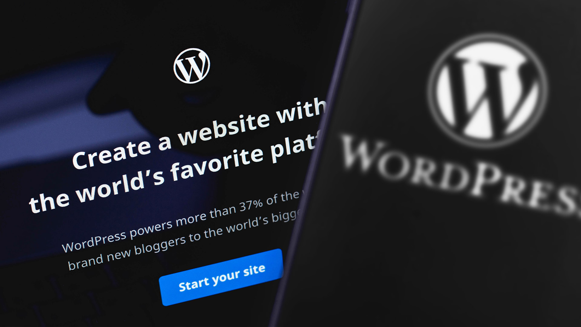 5 fordeler med Wordpress for bedriftsnettsider